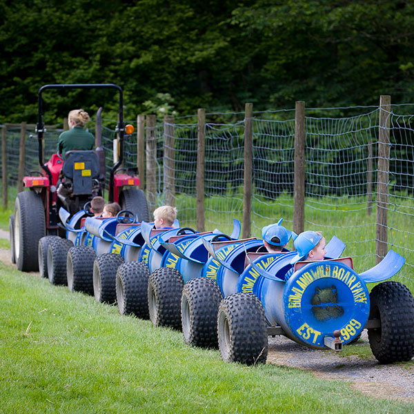 Wild Boar Park